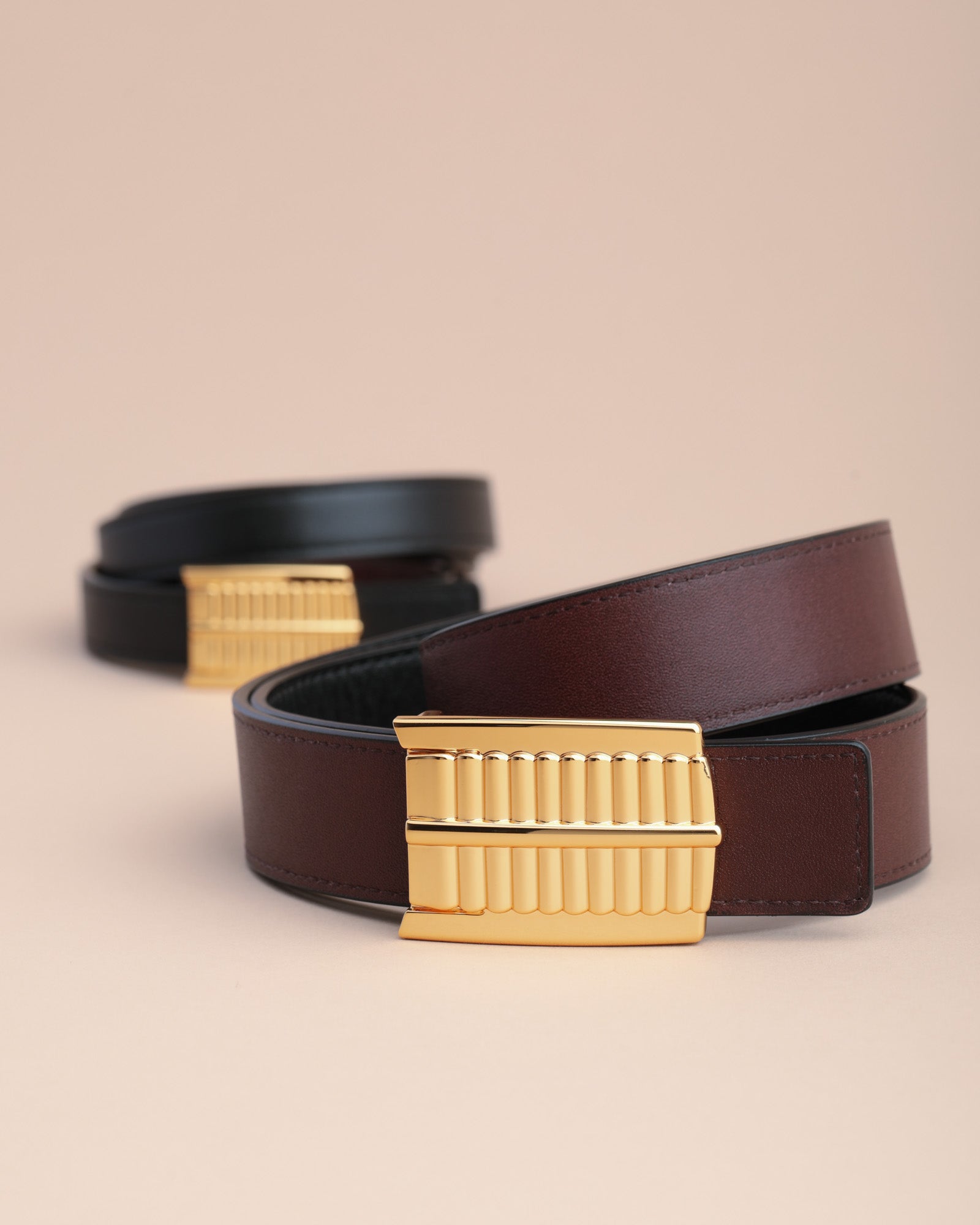 Black and gold belt from edited pieces Edited Pieces | Mini Reversible Equinox Belt main image 3